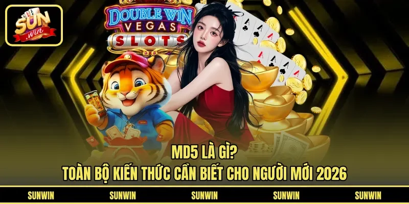 MD5 Là Gì? Toàn Bộ Kiến Thức Cần Biết Cho Người Mới 2026
