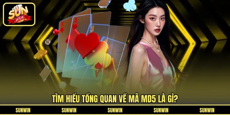 Tìm hiểu tổng quan về mã MD5 là gì?