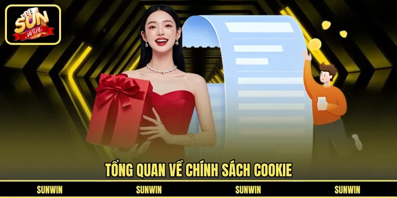 Tổng quan về chính sách Cookie