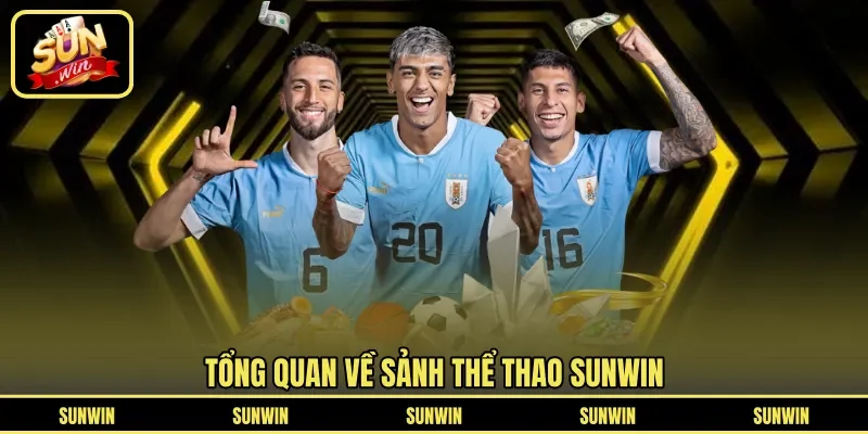 Tổng quan về sảnh thể thao SUNWIN