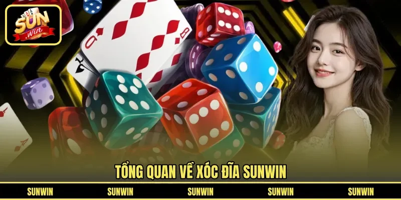 Tổng quan về xóc đĩa SUNWIN